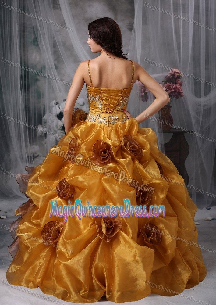 Brown Beaded Full-length Quinces Dresses with Straps and Ruffles in Boise